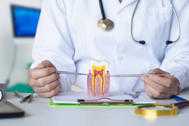 Best Emergency Dental Care for Broken or Chipped Teeth in Bradford Woods, PA